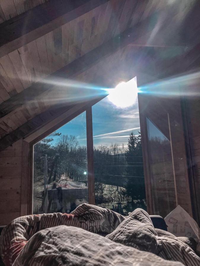 Vikendica Brvnara Marcetic Holiday home *